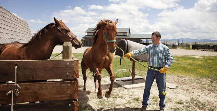 马几把有多大图片【马几把叫什么】