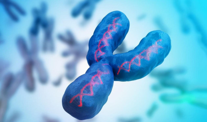 马几把有多大图片【马几把叫什么】