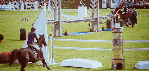 马几把有多大图片马几把叫什么