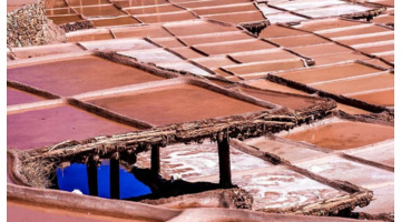 摄影人像艺术【摄影人像三要素】