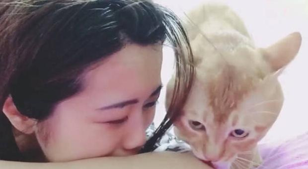 善待猫咪的人会有福报【吸引猫的人有福吗】