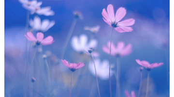 有关听音乐享受的句子【享受美妙的音乐的句子】