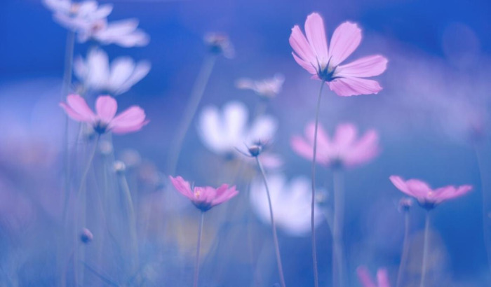 有关听音乐享受的句子【享受美妙的音乐的句子】