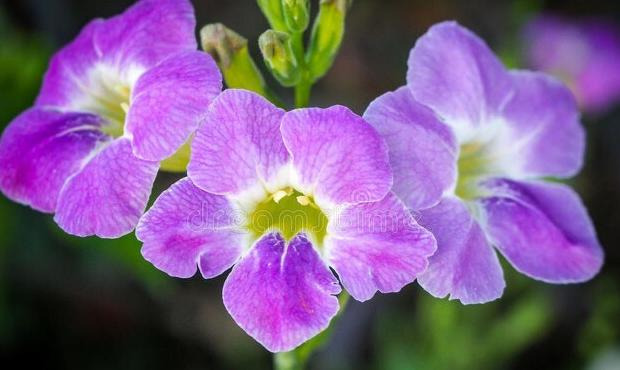 有关听音乐享受的句子【享受美妙的音乐的句子】