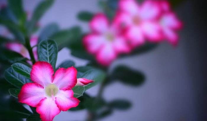 有关听音乐享受的句子【享受美妙的音乐的句子】