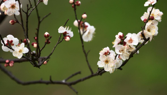 有关听音乐享受的句子【享受美妙的音乐的句子】