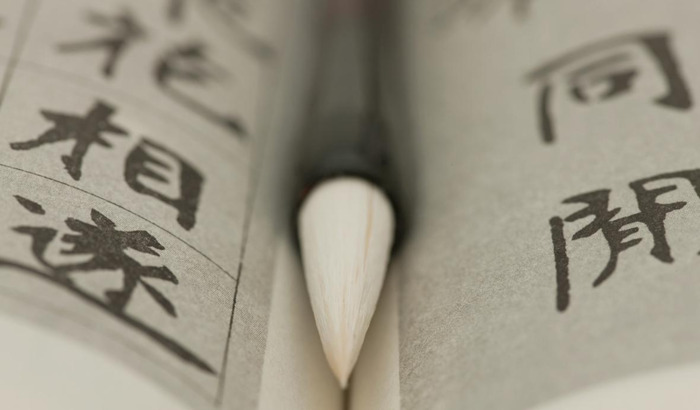 踽踽怎么读?【踽踽踯躅】