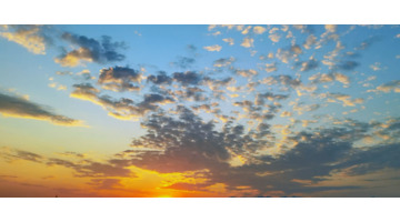 晚霞即景作文500字动静结合【晚霞即景作文600字优秀作文】