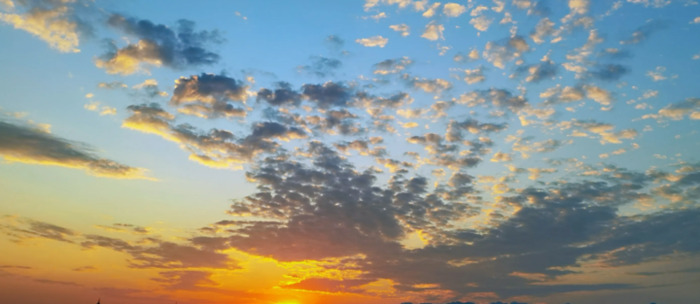 晚霞即景作文500字动静结合【晚霞即景作文600字优秀作文】