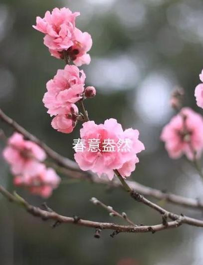 我和爸的谁的大【比我爸爸大的叫什么】