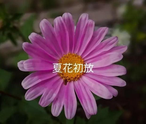 我和爸的谁的大【比我爸爸大的叫什么】