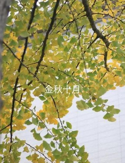 我和爸的谁的大【比我爸爸大的叫什么】