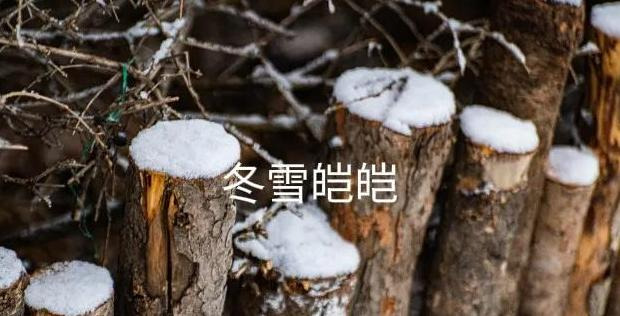 我和爸的谁的大【比我爸爸大的叫什么】