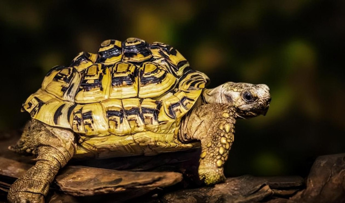 谈谈服饰作文300字