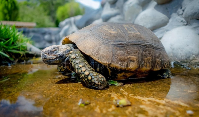 谈谈服饰作文300字