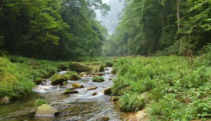 从桂林到张家界途中有什么景点【桂林到张家界旅游】