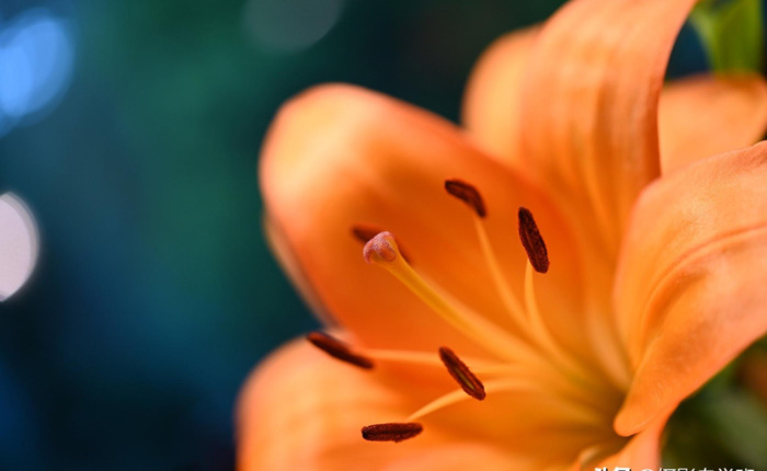 iphone怎么提高照片清晰度【图片不清楚怎么可以变得清楚】