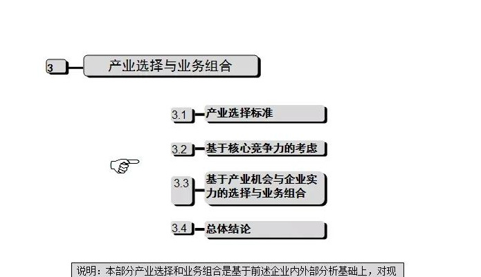 公司发展历程模板【公司发展战略包括哪些内容】