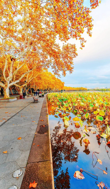 一叶而知秋作文记叙文【一叶知秋作文400字】