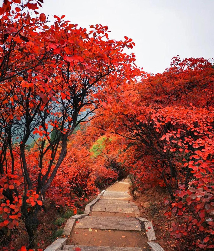 一叶而知秋作文记叙文【一叶知秋作文400字】