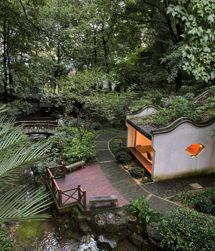 长沙品茶知乎【长沙品茶喝茶安排】