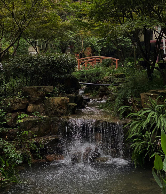 长沙品茶知乎【长沙品茶喝茶安排】