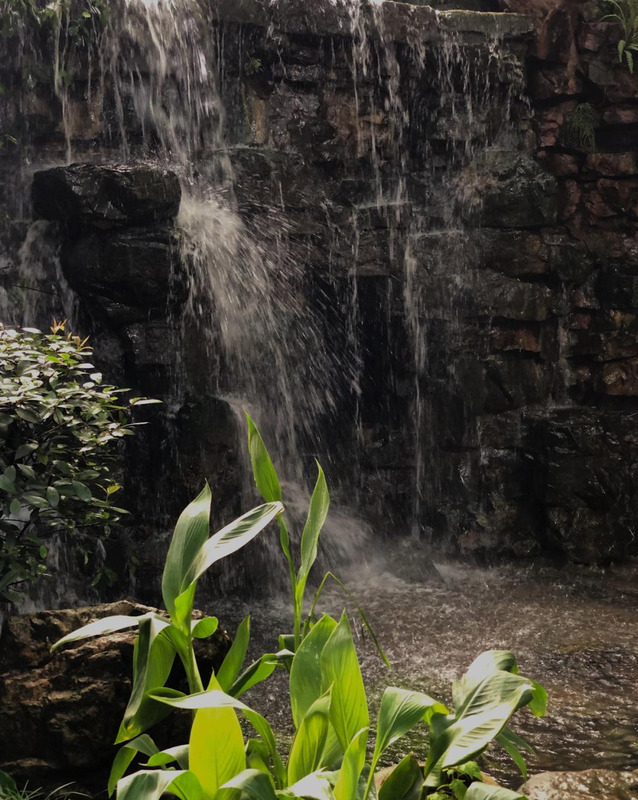 长沙品茶知乎【长沙品茶喝茶安排】