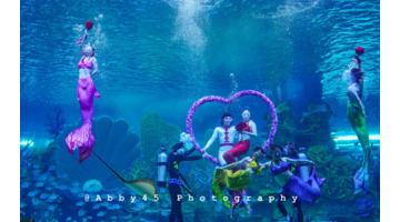 泉州欧乐堡海洋王国门票可以退票【泉州欧乐堡海洋王国门票哪里买便宜】