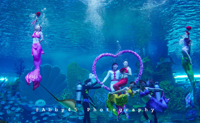 泉州欧乐堡海洋王国门票可以退票【泉州欧乐堡海洋王国门票哪里买便宜】