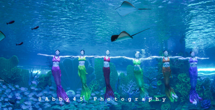 泉州欧乐堡海洋王国门票可以退票【泉州欧乐堡海洋王国门票哪里买便宜】