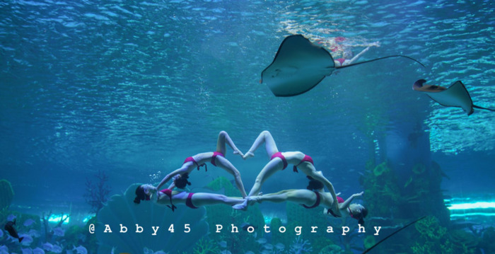 泉州欧乐堡海洋王国门票可以退票【泉州欧乐堡海洋王国门票哪里买便宜】