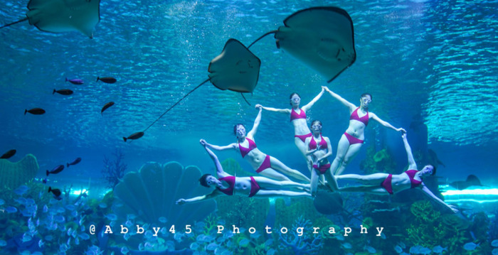 泉州欧乐堡海洋王国门票可以退票【泉州欧乐堡海洋王国门票哪里买便宜】