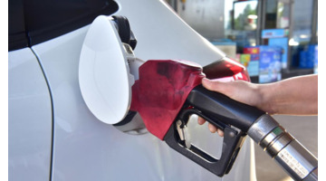 中国石油logo是什么花【中国石油logo演变】