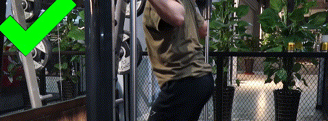 史密斯机哪个牌子好【史密斯机深蹲】