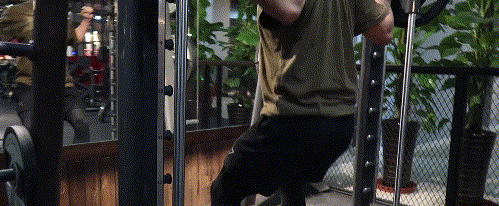 史密斯机哪个牌子好【史密斯机深蹲】