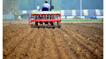立冬几号中小麦玩不完吗【立冬几号中小麦麦玩不玩呢】