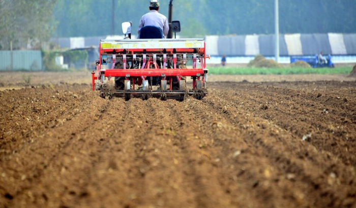立冬几号中小麦玩不完吗【立冬几号中小麦麦玩不玩呢】