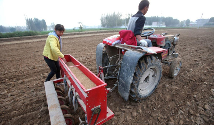 立冬几号中小麦玩不完吗【立冬几号中小麦麦玩不玩呢】