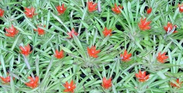 好人有好报的名言名句用日语【好人有好报的名言名句英文】