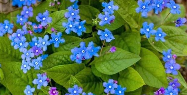 好人有好报的名言名句用日语【好人有好报的名言名句英文】