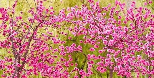 好人有好报的名言名句用日语【好人有好报的名言名句英文】