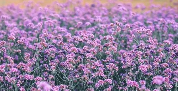 好人有好报的名言名句用日语【好人有好报的名言名句英文】