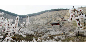 诗经中最唯美的公司名字【诗经中最唯美的名字公司名称】