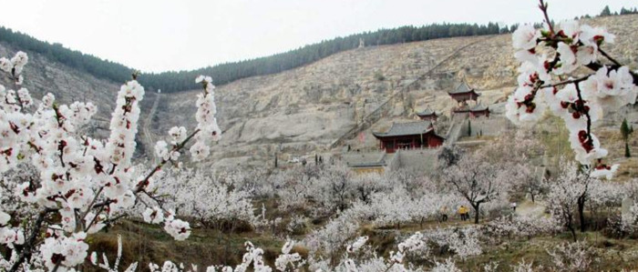 诗经中最唯美的公司名字【诗经中最唯美的名字公司名称】