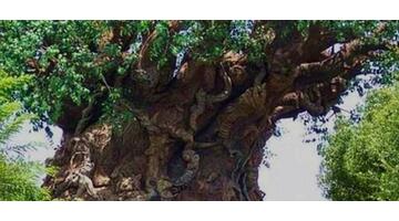 迪士尼标志性动物【迪士尼标志的含义】