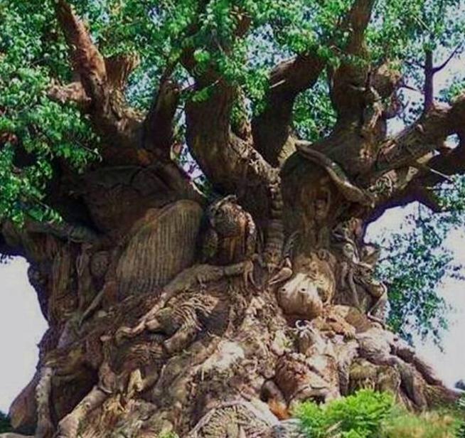 迪士尼标志性动物【迪士尼标志的含义】