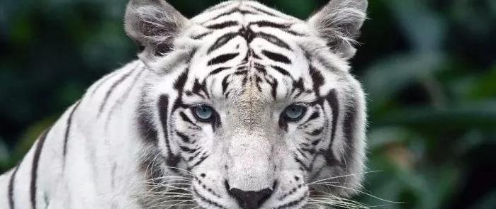 ps入门操作【ps基础教程的书】