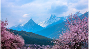 八字中何为官印【八字中的官印什么意思】