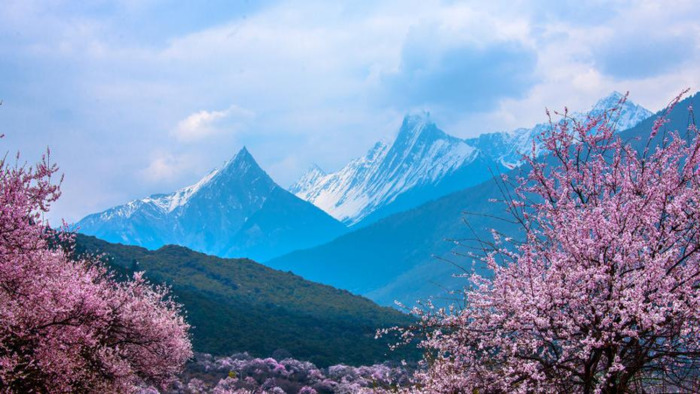 八字中何为官印【八字中的官印什么意思】