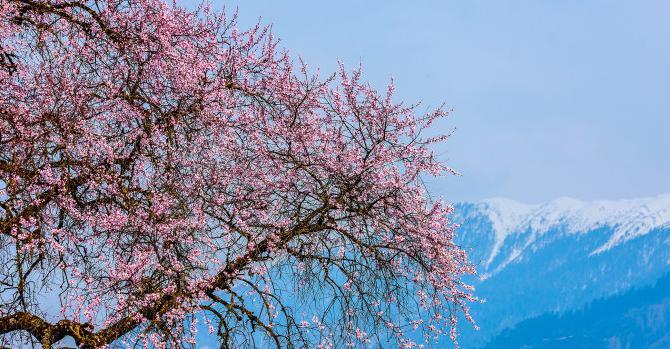 八字中何为官印【八字中的官印什么意思】